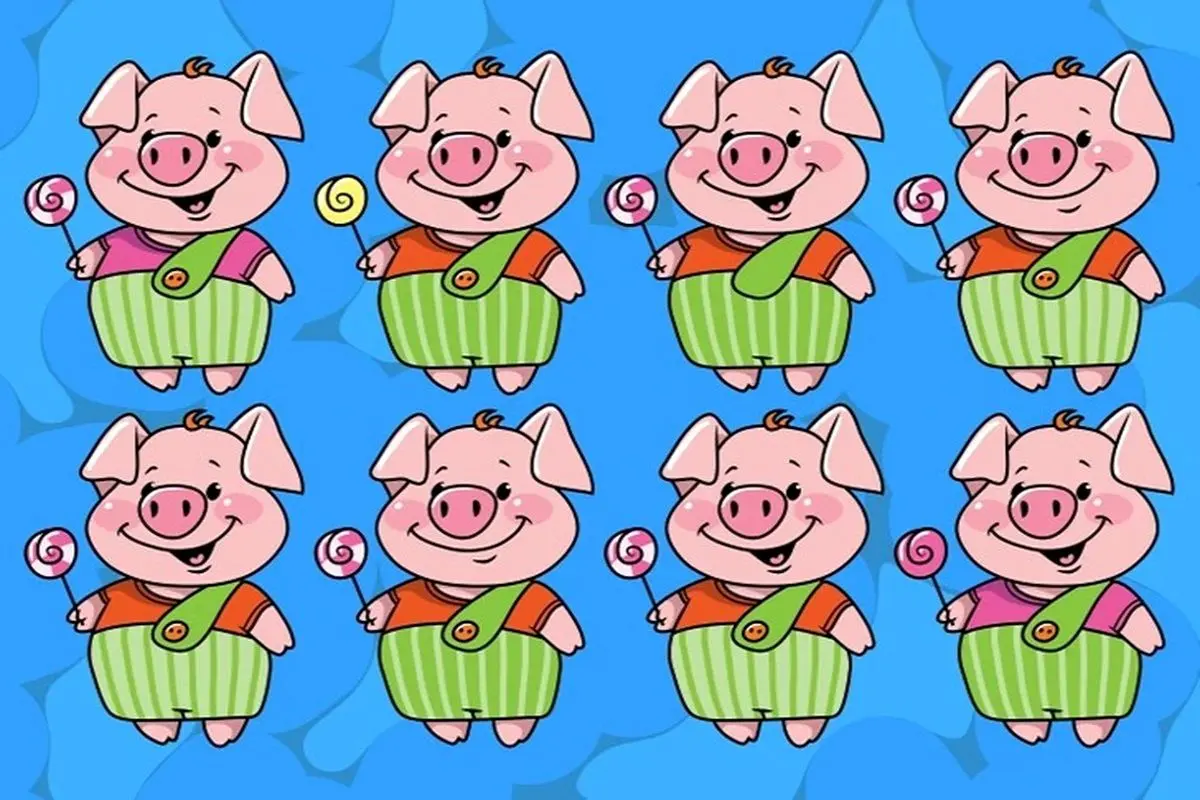 آزمون-شناسایی-خوکچه-های-مشابه-2