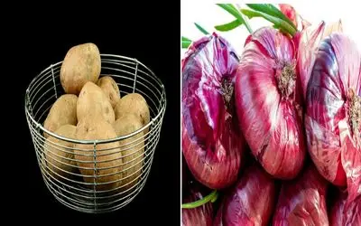 چرا سیب‌ زمینی و پیاز همیشه جوونه میزنن؟/ روش‌ های ساده و طبیعی جلوگیری از جوونه زدن 