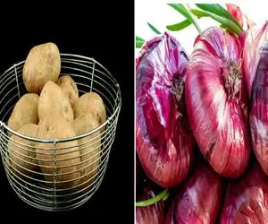 چرا سیب‌ زمینی و پیاز همیشه جوونه میزنن؟/ روش‌ های ساده و طبیعی جلوگیری از جوونه زدن 