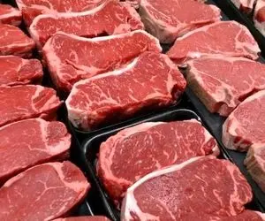 ماجرای گوشتِ وارداتی مبتلا به جنون گاوی چیست؟