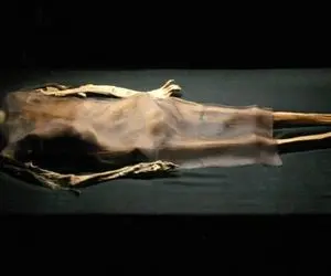 عجیب ولی واقعی؛ جزییات شگفت‌انگیز بدن یک مومیایی 4 هزار ساله!