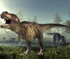 رازهای ژوراسیک؛ شبیه‌سازی قدرت فک دایناسورها که سنگ رو با یه حرکت پودر میکنه!