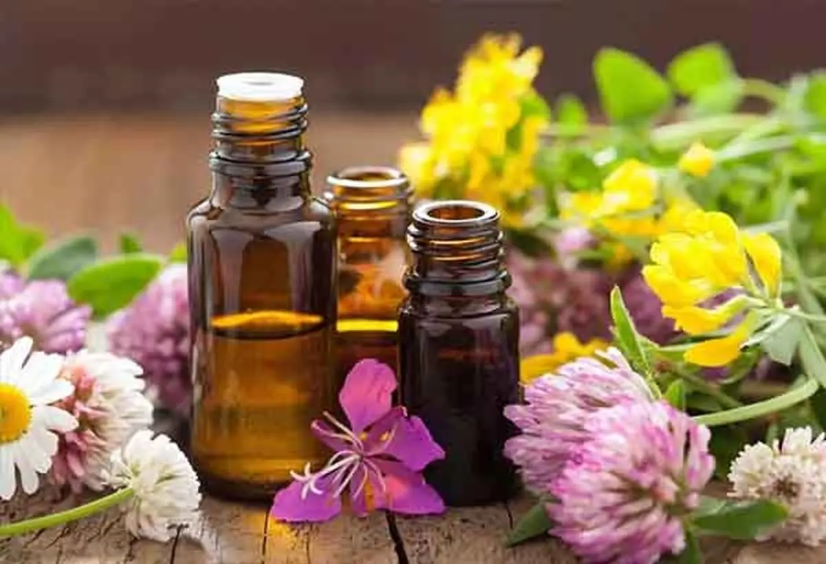 چگونگی-دفع-حشرات-موذی-1