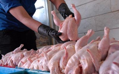 افزایش ١٢.١درصدی قیمت مرغ در اسفندماه
