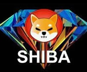 چه کسانی می توانند از سود شیبا اینو بهره ببرند؟