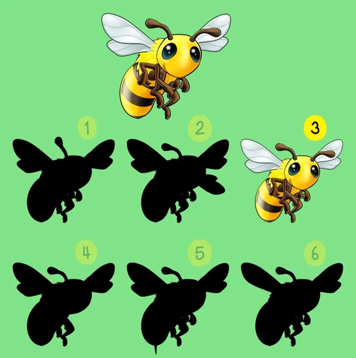 تست-خطای-دید-با-زنبور-2