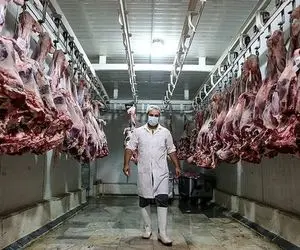 فرآوری خوک؛ خوک صورتی حرام رو از کوه آتیش رد کردن انداختن تو دستگاه سوسیس بشه