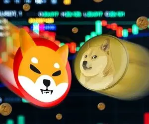 ۳ میم‌کوین پرپتانسیل برای سال ۲۰۲۲؟؟
