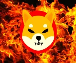 توکن سوزی خارق العاده ازشیبااینو!