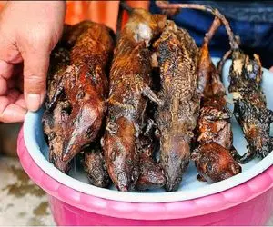 فرآوری موش؛ موش‌های چاق و درسته رو آتیش کز میدن بعد با فلفل میکشنش به سیخ