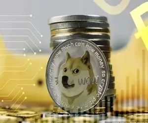 واکنشی جنجال برانگیز از سرپرست شیبااینو!