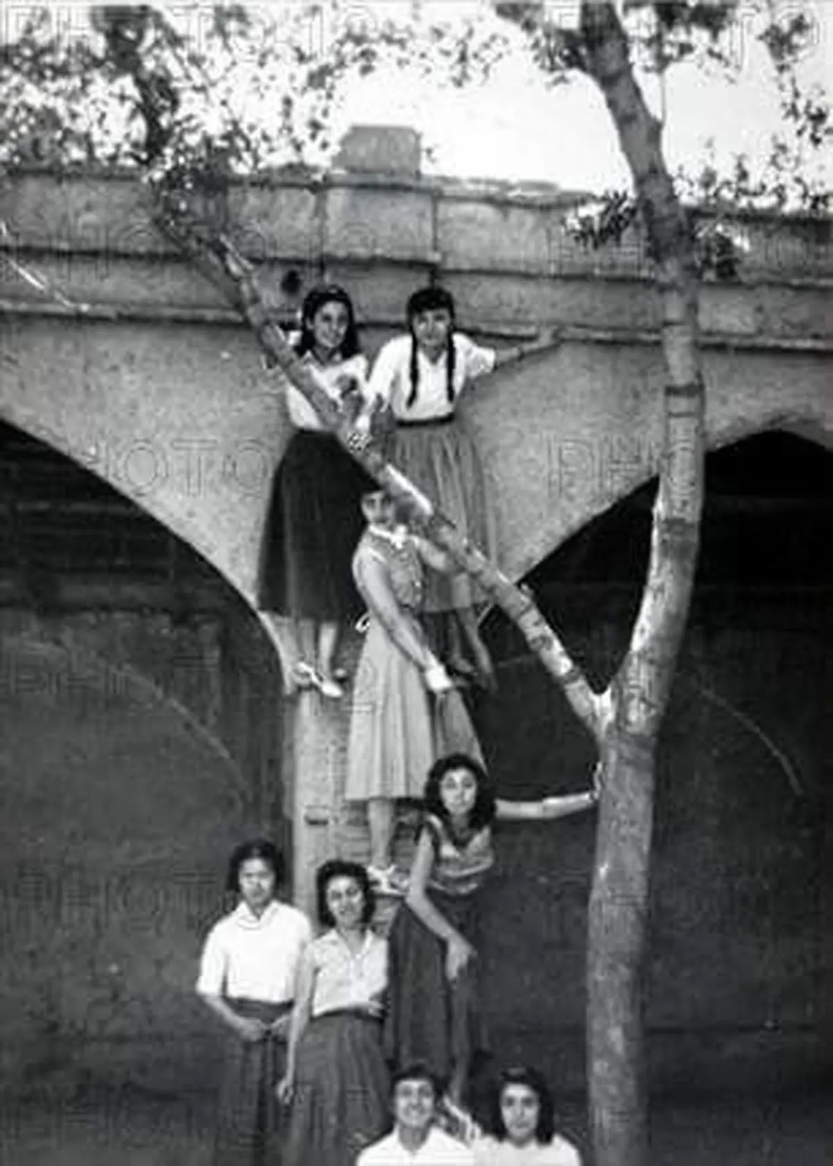شیظنتا