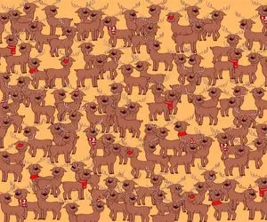 هوش تصویری؛ ادعا کردی که باهوش و تیزی پس حالا اگه میتونی خرس رو تو عکس پیدا کن ببینم!