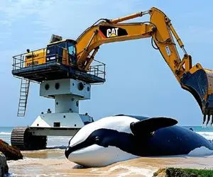 ابزارآلات غول پیکر؛ ترفندهای باورنکردنی اپراتورهای تجهیزات سنگین برای کنترلشان 