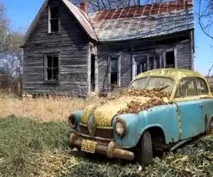 بازی فکری؛ کار هر کسی نیست پیدا کردن روباه مخفی تصویر فقط 1 درصد میتونن