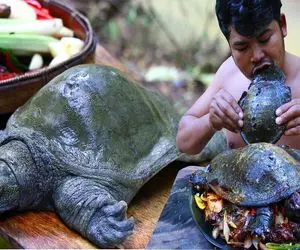 غذای چندش؛ لاکپشت و از وسط برش میده با پیازچه و گردو پرش میکنه رو پوست سختش میپزه