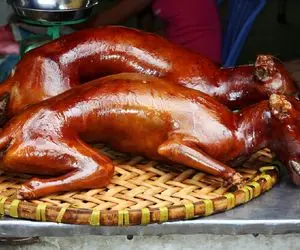 کباب سگ؛ سگ‌های نازنازی دست و پا بسته به صلیب کشیدن بریونی و اسلایسی سرو کردن