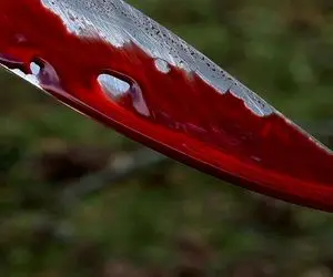 جوان زاهدانی با چاقو وسط خیابان به قتل رسید!