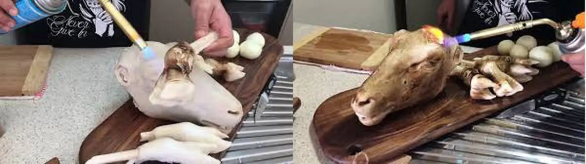 از بین بردن موی کله پاچه