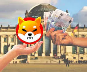 پروسه جدید شیبااینوکاربران را هیجان زده کرد؟