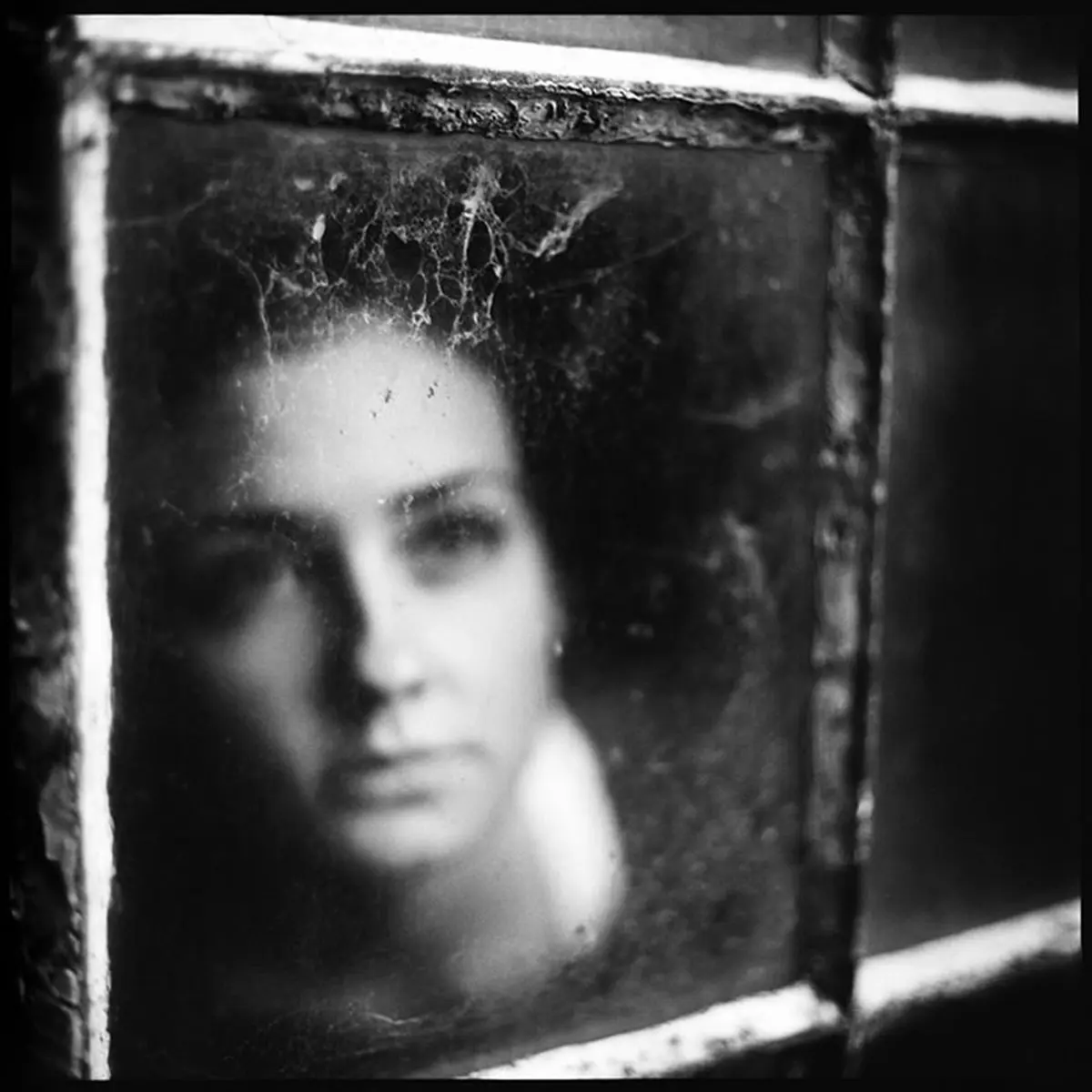 زنانگی در قاب