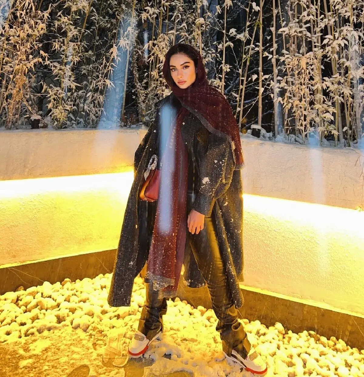 ترلان پروانه
