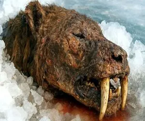 شاهکار حیات وحش؛ ویرایش ژنتیکی قطعات باستانی برای زنده کردن فسیل ها