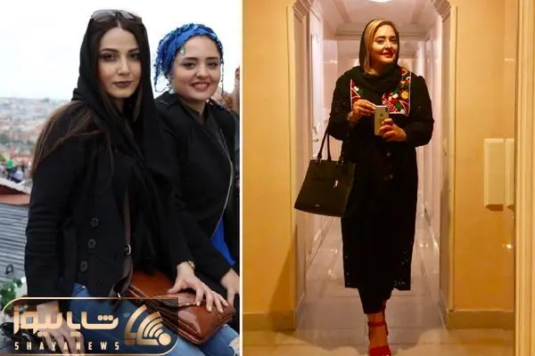 narges mohammadi shayanews