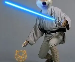 حماسه ای جدید از شیبا اینو؛نظامی پوش!