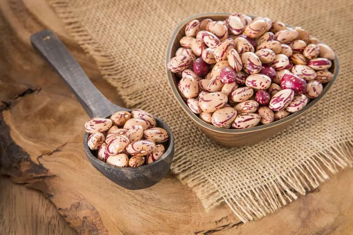چطور نفخ حبوبات رو سریع بگیریم 