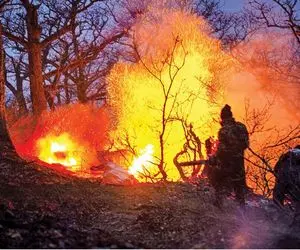 آتش‌سوزی جنگل الیت تا باران نیاید مهار نمی‌شود!