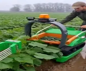 کشاورزی نوین؛ کشاورزم کشاورزای قدیم دستگاه خیارچین ساختن زحمت ندن خم شن برا کندش