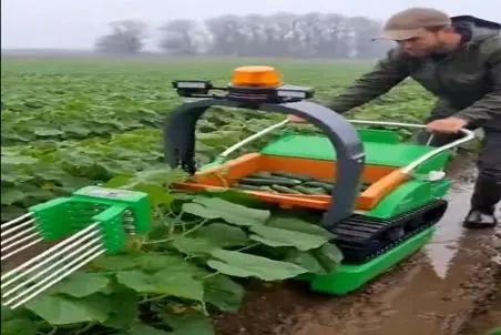 کشاورزی نوین؛ کشاورزم کشاورزای قدیم دستگاه خیارچین ساختن زحمت ندن خم شن برا کندش