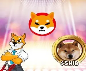 تنها سیگنال مهم برای شیبااینو!