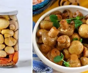 طرز تهیه ترشی قارچ خونگی / یه کنار غذای فوق العاده با مزه بی نظیر