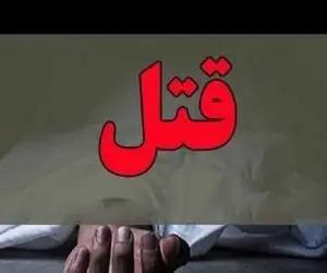 جنایت خانوادگی هولناک در ولنجک تهران/ یک وکیل همسر و پسرش را کشت و خودش خودکشی کرد
