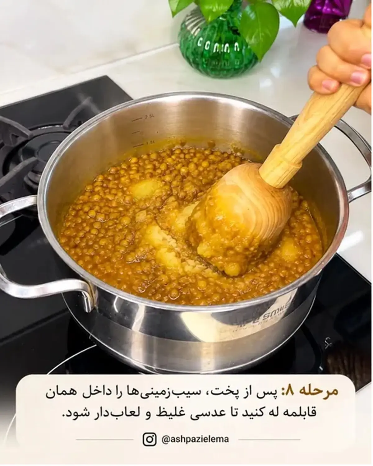 عدسی 8
