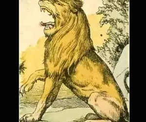 بازی فکری؛  با پیدا کردن دو موش مخفی در تصویر شیر اثبات کن که خیلی زبل و تیزی!