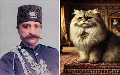 رازهای قجری؛ گربه‌ای که ناصرالدین شاه از زنانش بیشتر دوستش داشت و هووی حرمسرا بود