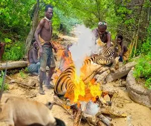 کباب ببر؛ بربرهای برهنه با تیرکمون ببر شکار کردن درسته انداختن تو آتیش به نیش کشیدن