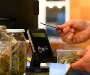 کش لس چیست و چگونه کار می‌کند؟