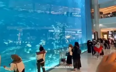 لحظه فرو ریختن بزرگترین آکواریوم جهان در عربستان؛ ترک هولناک روی شیشه و سلام کوسه ها