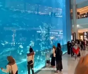 لحظه فرو ریختن بزرگترین آکواریوم جهان در عربستان؛ ترک هولناک روی شیشه و سلام کوسه ها