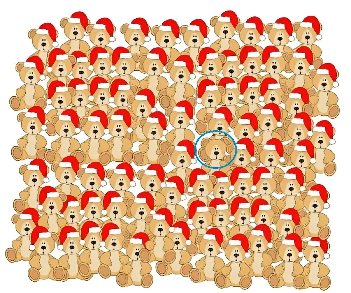 پاسخ-تست-بینایی-یافتن-خرس-عروسکی-بدون-کلاه