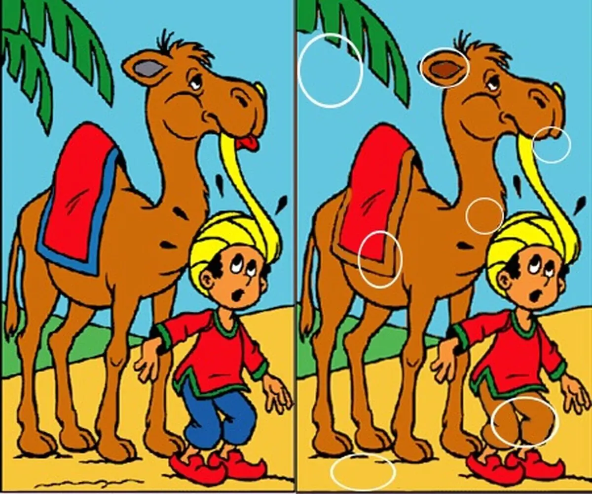 شتر