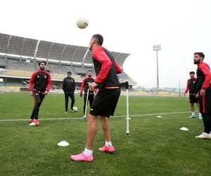 گزینه پرسپولیس در لیست فولاد!