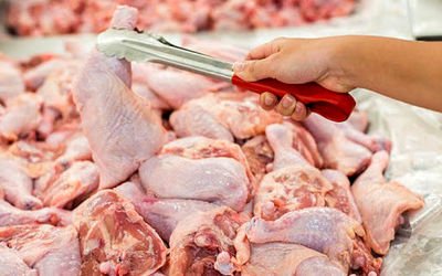پیش بینی قیمت مرغ در عید نوروز 1400