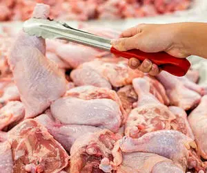 قیمت مرغ امروز چهارشنبه 27 اسفند 99