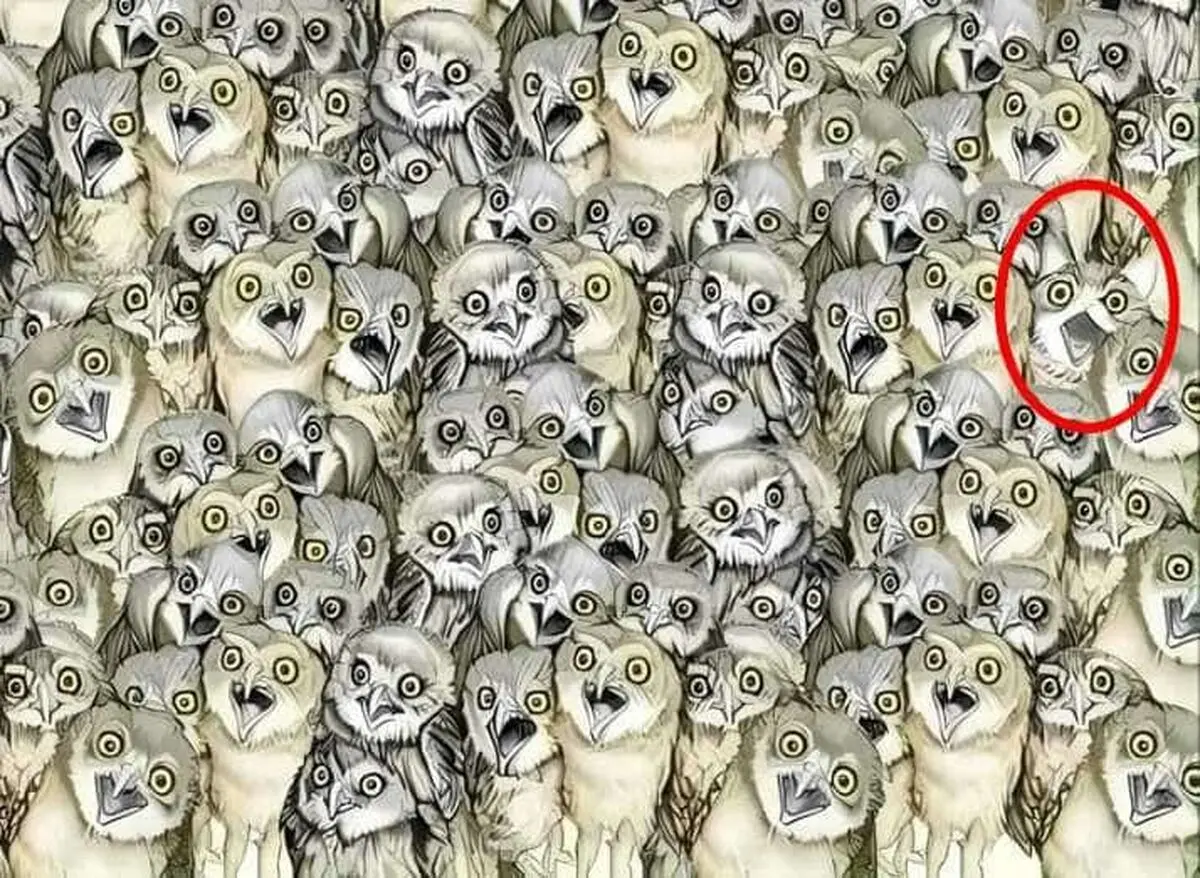 تحنت