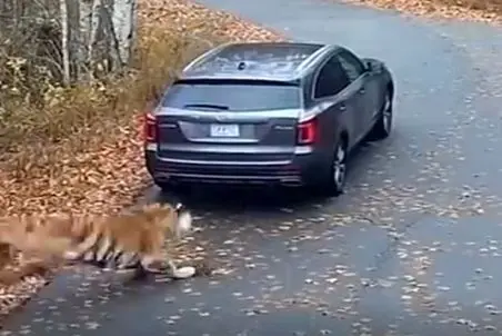 معماری طبیعت؛ خانومه معلوم نیست چه کار خیری کرده بود که نجات پیدا کرد و الا...